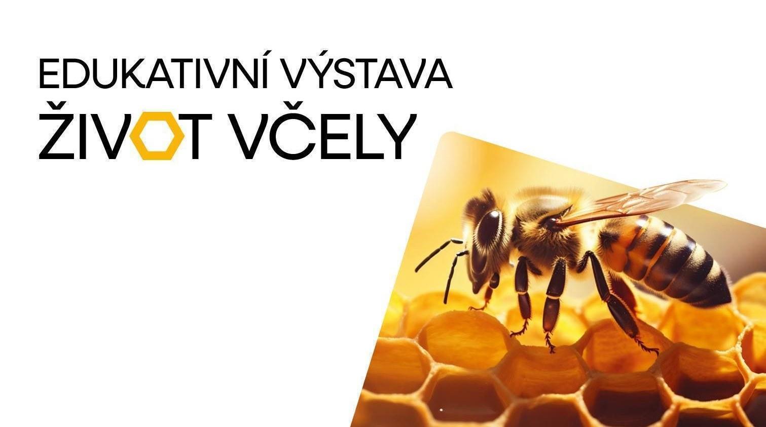 Život včely | Obchodní centrum Europark