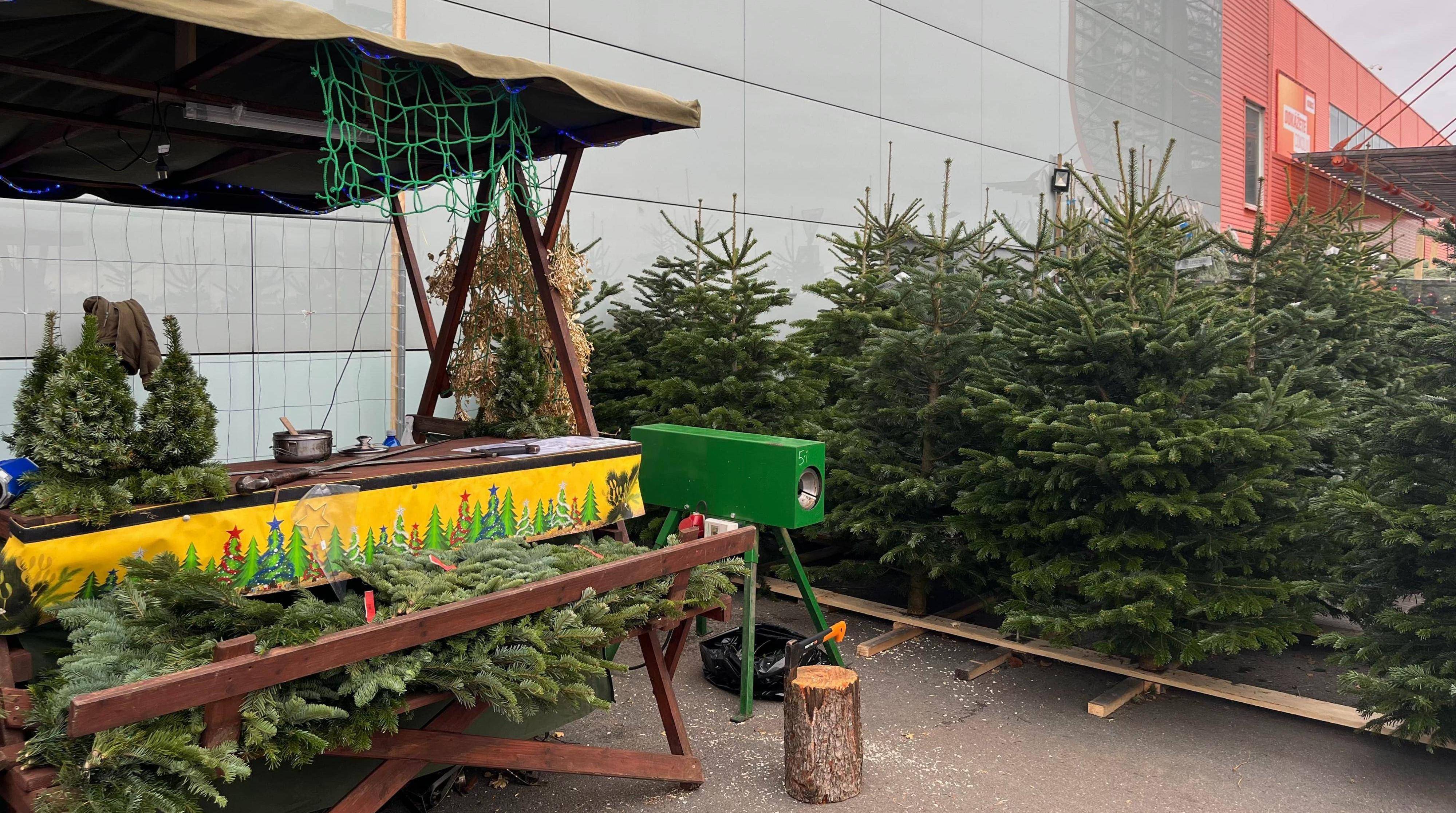 Prodej vánočních stromků | Obchodní centrum Europark